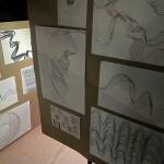 Viele Zeichenblättern mit eng aneinander gezeichneten Strichen an einer Pinnwand