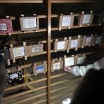 An einer Kletterwand hängen mehrere Endlos-Papier-Filme