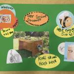 Ein grünes Plakat. Einzelne Bilder bzw. ovale unterschiedlich farbige Moderationskarten drauf geklebt: Der Grüne Daumen, Rollstuhlhochbeet, Waffeln, Bitte spenden sie, Popcorn
