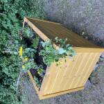 Das Hochbeet von der anderen Ecke aus fotogarfiert. In der Mitte eine kleine Sonnenblume.