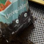 Ein Plastiksack Gartenerde wird in das Hochbeet geleert.